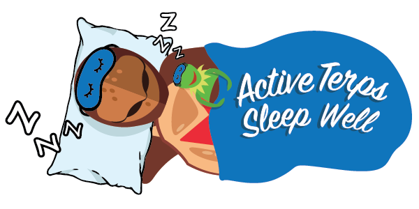 Image of Testudo laying down with a Z to indicate sleeping