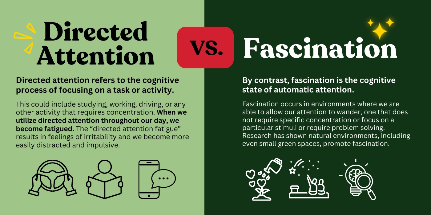 Directed attention versus fascination